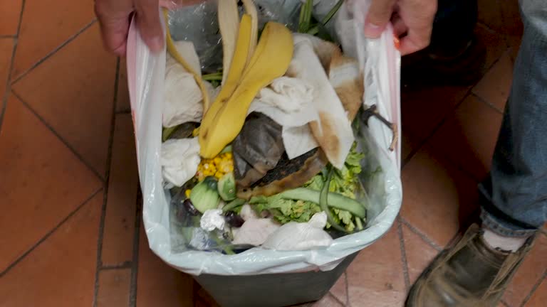 Best Recycling Services for Junk  in Pocomoke City, MD